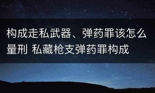 构成走私武器、弹药罪该怎么量刑 私藏枪支弹药罪构成