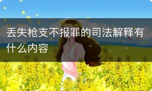 丢失枪支不报罪的司法解释有什么内容