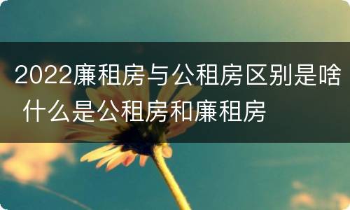 2022廉租房与公租房区别是啥 什么是公租房和廉租房