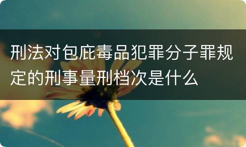 刑法对包庇毒品犯罪分子罪规定的刑事量刑档次是什么