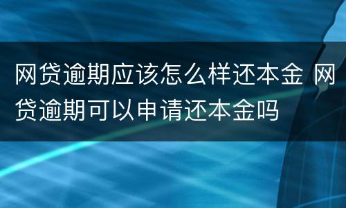 网贷逾期应该怎么样还本金 网贷逾期可以申请还本金吗