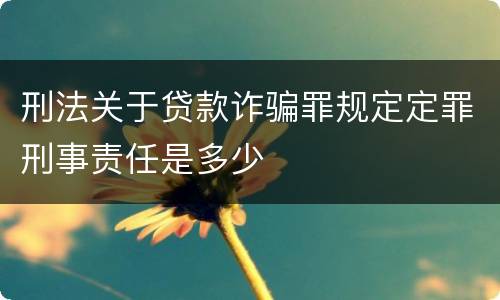 刑法关于贷款诈骗罪规定定罪刑事责任是多少