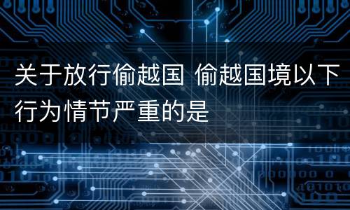 关于放行偷越国 偷越国境以下行为情节严重的是