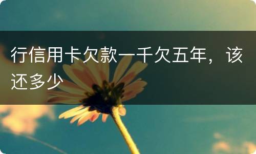 行信用卡欠款一千欠五年，该还多少