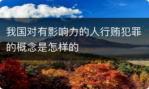 我国对有影响力的人行贿犯罪的概念是怎样的