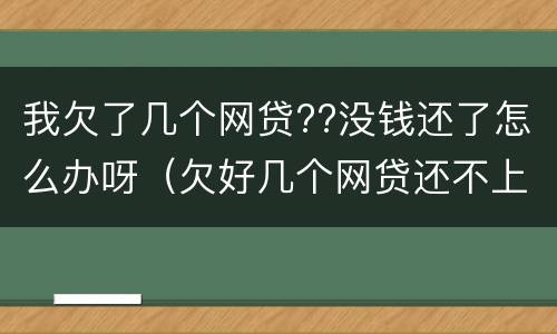 我欠了几个网贷??没钱还了怎么办呀（欠好几个网贷还不上怎么办）
