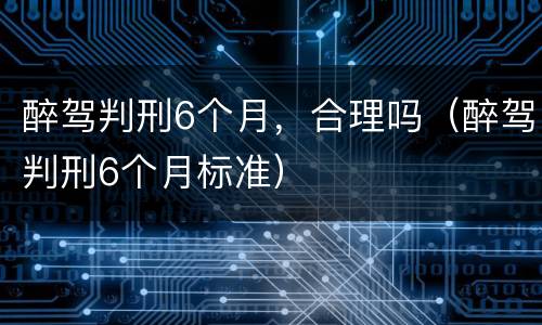 醉驾判刑6个月，合理吗（醉驾判刑6个月标准）