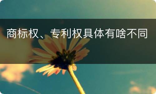 商标权、专利权具体有啥不同