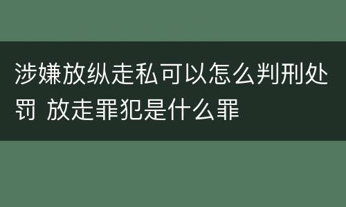 涉嫌放纵走私可以怎么判刑处罚 放走罪犯是什么罪