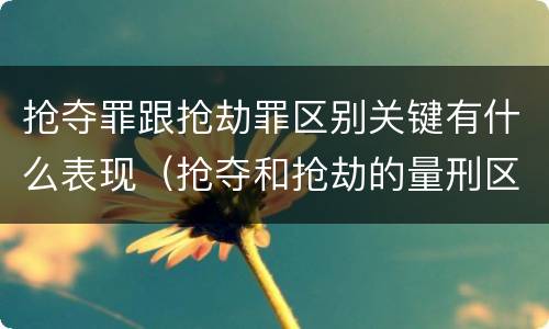 抢夺罪跟抢劫罪区别关键有什么表现（抢夺和抢劫的量刑区别）