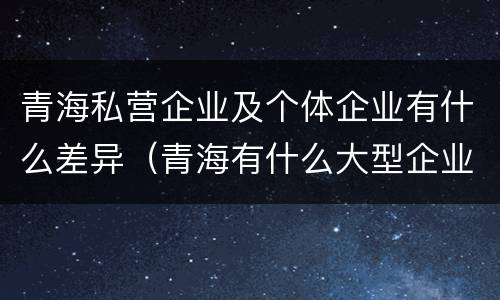 青海私营企业及个体企业有什么差异（青海有什么大型企业）