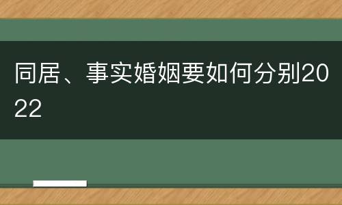 同居、事实婚姻要如何分别2022