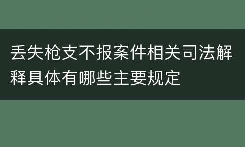 丢失枪支不报案件相关司法解释具体有哪些主要规定