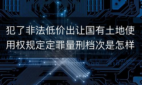 犯了非法低价出让国有土地使用权规定定罪量刑档次是怎样