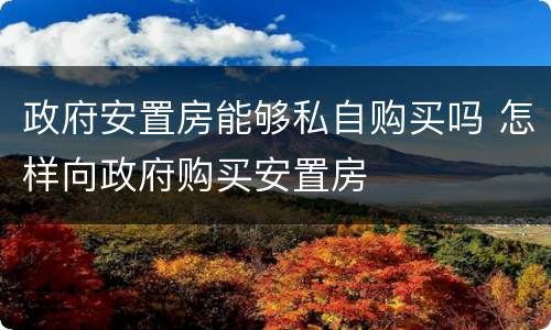 政府安置房能够私自购买吗 怎样向政府购买安置房