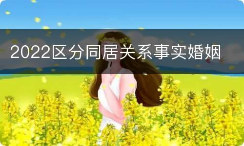 2022区分同居关系事实婚姻