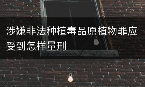 涉嫌非法种植毒品原植物罪应受到怎样量刑