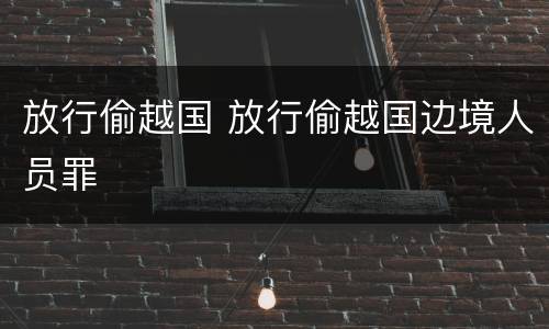 放行偷越国 放行偷越国边境人员罪
