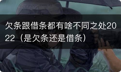欠条跟借条都有啥不同之处2022（是欠条还是借条）