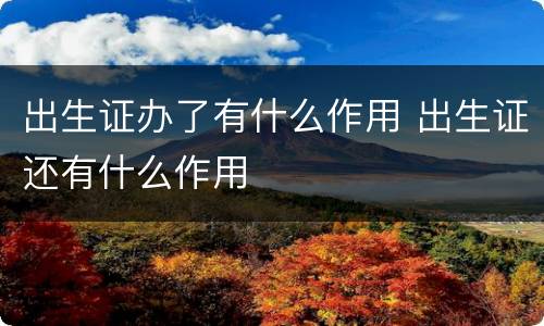 出生证办了有什么作用 出生证还有什么作用