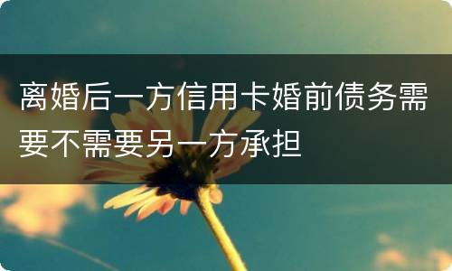 离婚后一方信用卡婚前债务需要不需要另一方承担