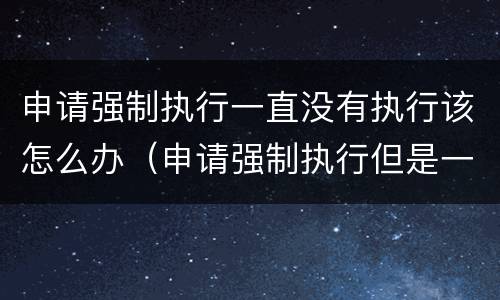 申请强制执行一直没有执行该怎么办（申请强制执行但是一直没有执行怎么办）