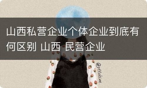 山西私营企业个体企业到底有何区别 山西 民营企业