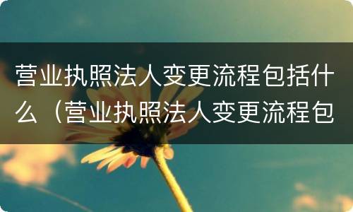 营业执照法人变更流程包括什么（营业执照法人变更流程包括什么内容）
