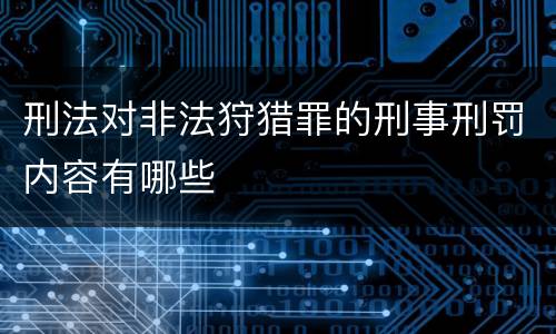 刑法对非法狩猎罪的刑事刑罚内容有哪些
