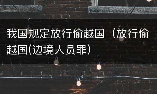 我国规定放行偷越国（放行偷越国(边境人员罪）