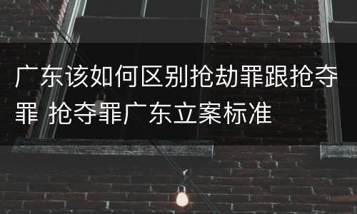 广东该如何区别抢劫罪跟抢夺罪 抢夺罪广东立案标准
