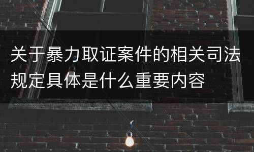 关于暴力取证案件的相关司法规定具体是什么重要内容