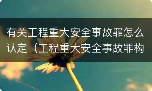 有关工程重大安全事故罪怎么认定（工程重大安全事故罪构成要件）