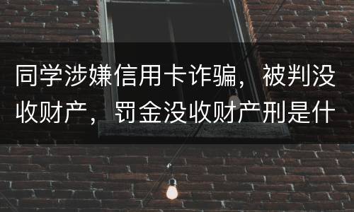 同学涉嫌信用卡诈骗，被判没收财产，罚金没收财产刑是什么