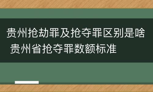 贵州抢劫罪及抢夺罪区别是啥 贵州省抢夺罪数额标准