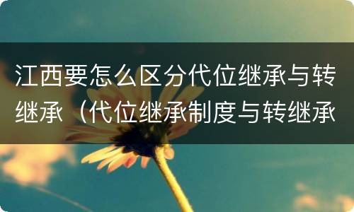 江西要怎么区分代位继承与转继承（代位继承制度与转继承制度有哪些不同）