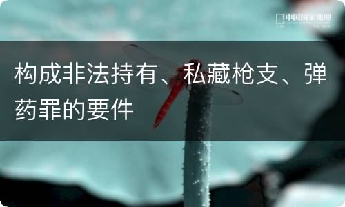 构成非法持有、私藏枪支、弹药罪的要件