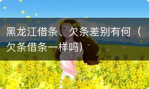 黑龙江借条、欠条差别有何（欠条借条一样吗）