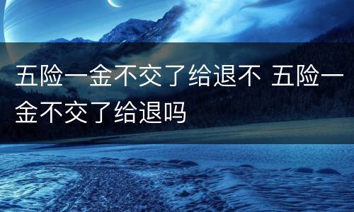五险一金不交了给退不 五险一金不交了给退吗