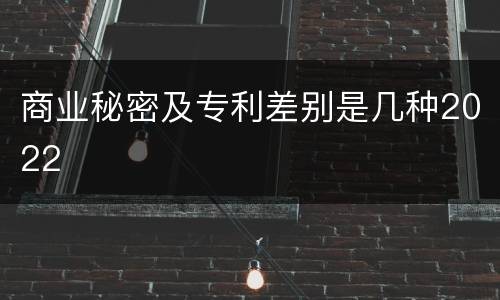 商业秘密及专利差别是几种2022