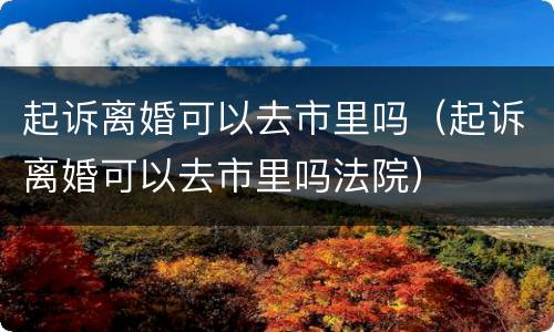 起诉离婚可以去市里吗（起诉离婚可以去市里吗法院）