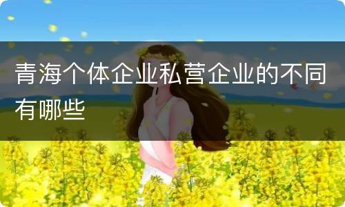 青海个体企业私营企业的不同有哪些