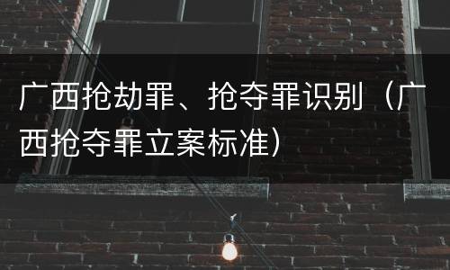 广西抢劫罪、抢夺罪识别（广西抢夺罪立案标准）