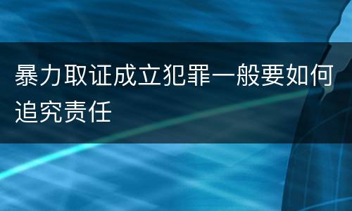 暴力取证成立犯罪一般要如何追究责任