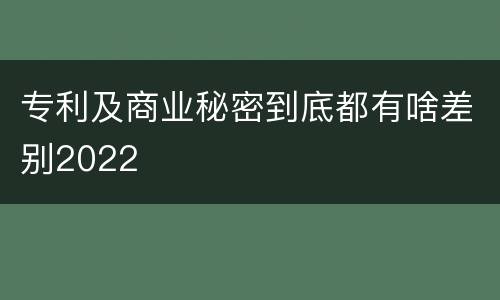 专利及商业秘密到底都有啥差别2022