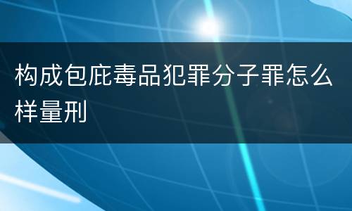 构成包庇毒品犯罪分子罪怎么样量刑