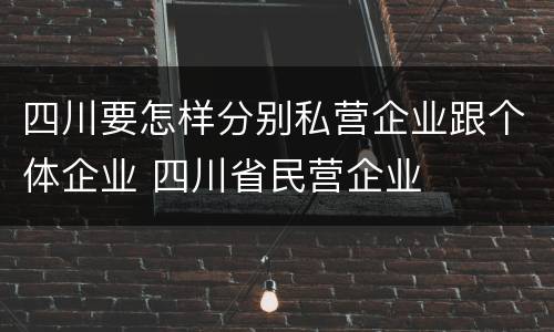 四川要怎样分别私营企业跟个体企业 四川省民营企业