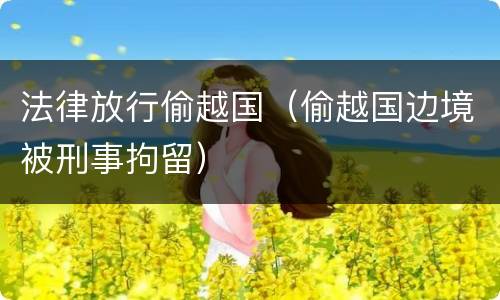 法律放行偷越国（偷越国边境被刑事拘留）