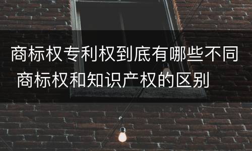 商标权专利权到底有哪些不同 商标权和知识产权的区别