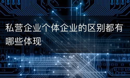 私营企业个体企业的区别都有哪些体现